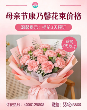 抚州花店母亲节康乃馨花束