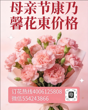 抚州花店母亲节康乃馨花束